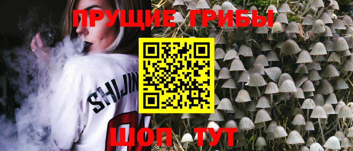 Псилоцибиновые грибы мухоморы  Вход с VPN  Ефремов  Псилоцибиновые грибы Psilocybe 